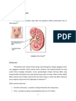 Nefrolitiasis