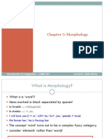 Morphology Chapter