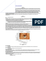 Konjungtivitis Gonore Dan Penatalaksanaannya