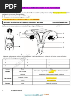 Souvenir Francais Nostalgie Sentiment Bonheur