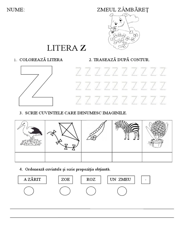 Fisa Litera Z | PDF