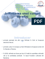 Înființarea Unei Culturi de Afini