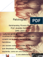 patologias ob 3