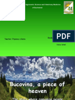 Bucovina, A Piece of Heaven