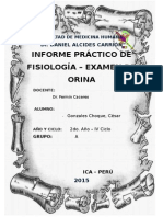 Informe Examen de Orina