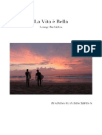 Business Plan - LVB PDF