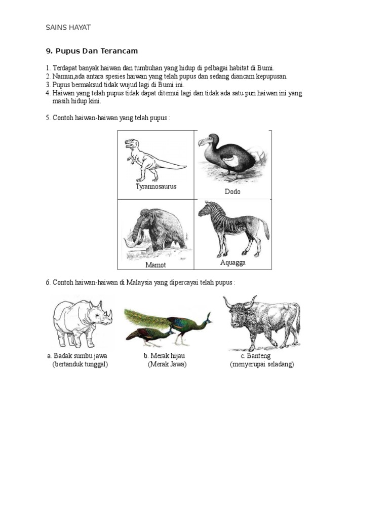 9 Pupus Dan Terancam