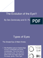 DanEvolution of the Eye