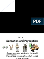 Powerpoint 15-16 Sensation and Perception Intro