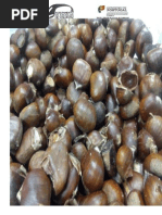 Imagens Da Atividade