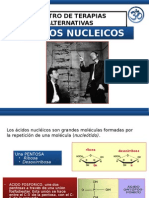 Presentacion Acidos Nucleicos --Pnie