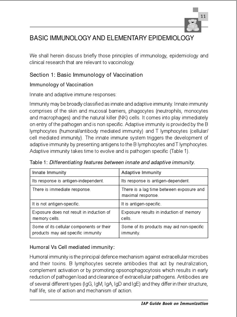 Basic Immunology Pdf Adaptive Immune System Immune System