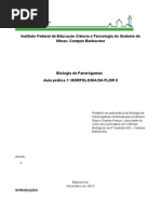 Biologia de Fanerógamas 7 FLOR II