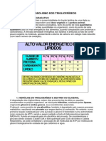 Metabolismo dos triglicerídeos: degradação e síntese