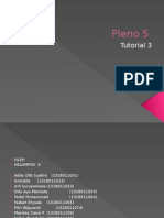 PLENO 5 tutor 3