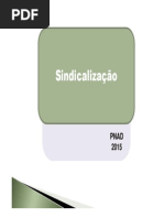 sindicalizacao - pnad 2015