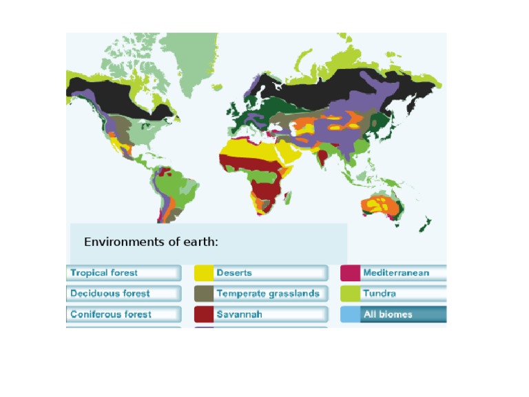 Earth Environments Overview | PDF