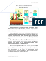 Biogeochemistry Cycle