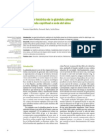 GLÁNDULA PINEAL.pdf
