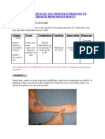 Testing Des Muscles Flechisseur Superficiel Et Flechisseur Profond Des Doigts