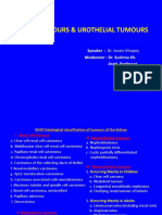 Kidney &amp Urothelial Tumours