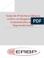 Short Version Hyponatraemia 231214 Spanish FINAL
