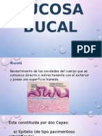 Mucosa Bucal