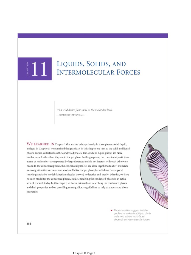 Chapter 11 Overview and Pages | PDF