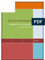 City Gas Distribution Report