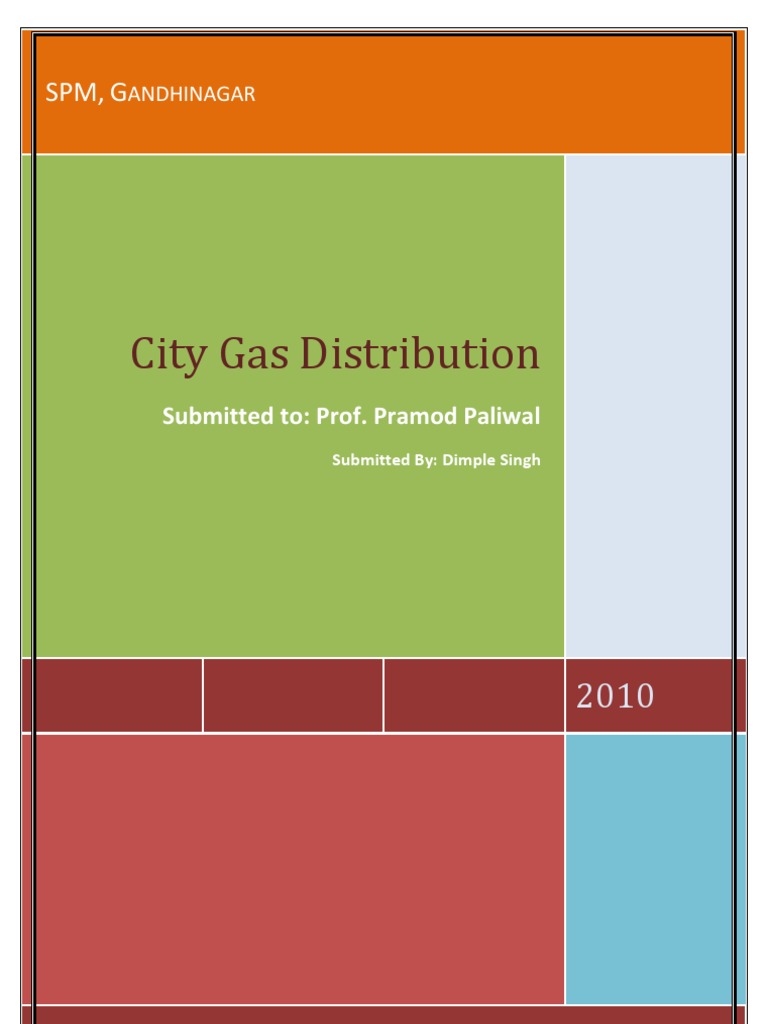 City Gas Distribution Report PDF Natural Gas Liquefied Natural Gas