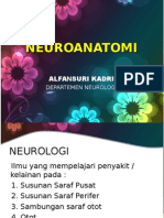 Neuroanatomi