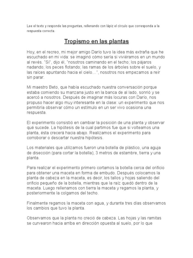 Lee El Texto y Responde Las Preguntas PDF Tornados Prueba (evaluación)