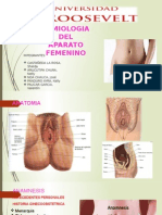 SEMIOLOGIA DEL APARATO FEMENINA PPT.pptx