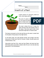 Growth of Plant Grade 2 Comprehension Worksheet