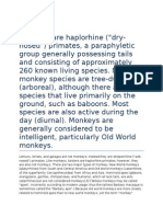 Monkeys Are Haplorhine