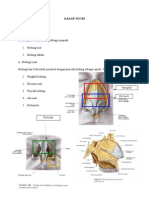 Lapkas Sinusitis