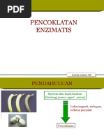Download PENCOKLATAN ENZIMATIS by kursi bobrok SN29094579 doc pdf