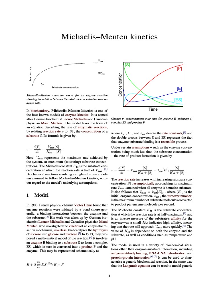 MichaelisMenten PDF Enzyme