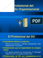 El Profesional Del Desarrollo Organizacional