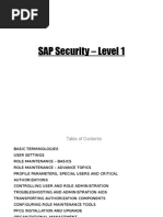 SAP Security - Level 1