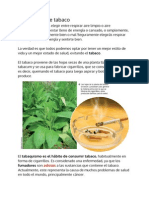 El Consumo de Tabaco PDF