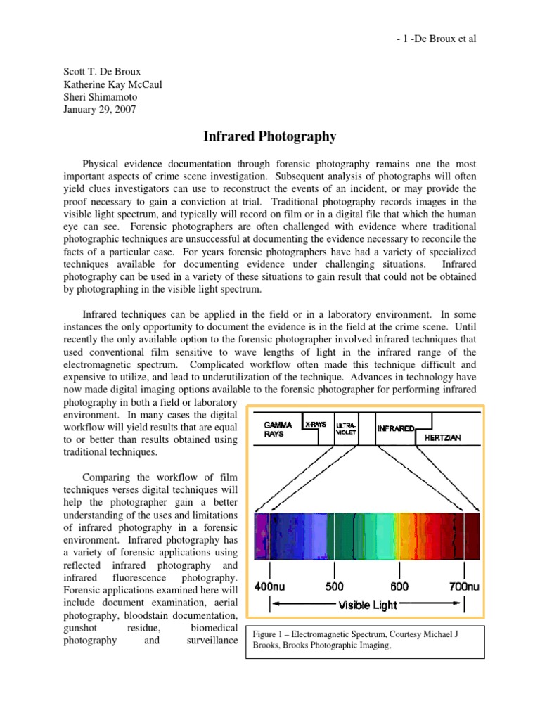 nature of photography research paper