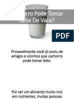 Cachorro Pode Tomar Leite de Vaca? A Resposta Pode Ter Surpreender