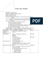 Plan de Lectie Joc Muzical