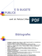 Finante Si Bugete Publice Slide