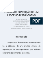 Formas de Condução de Um Processo Fermentativo