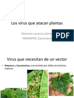 Los Virus Que Atacan Plantas