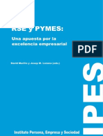 Rse y Pymes Casos