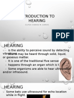 Acoustics Report - Copy.pptx