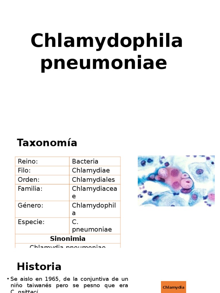 Chlamydophila Pneumoniae PDF Las bacterias Microbiología